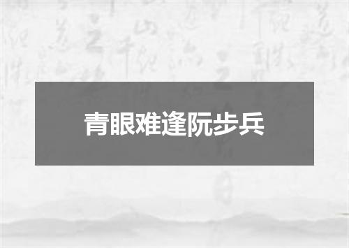 青眼难逢阮步兵