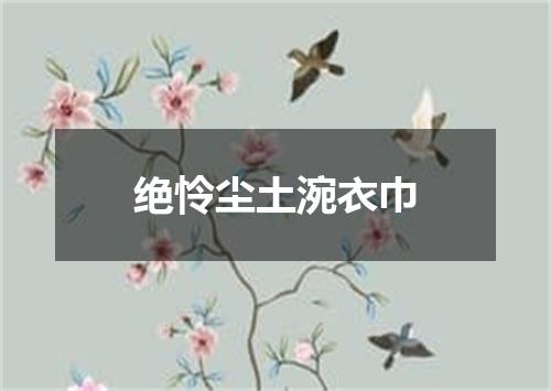 绝怜尘土涴衣巾