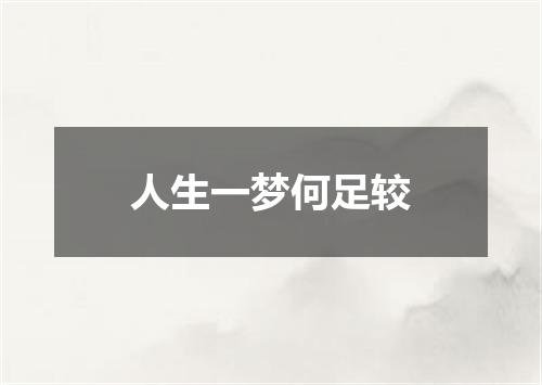 人生一梦何足较