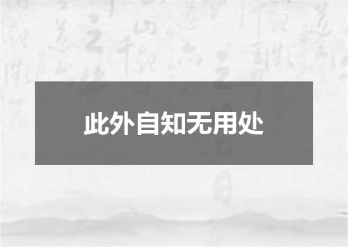 此外自知无用处