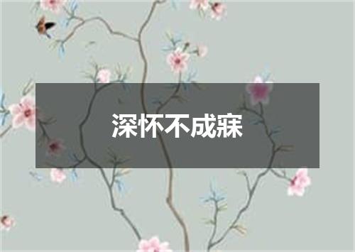 深怀不成寐