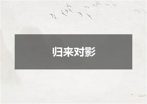 归来对影