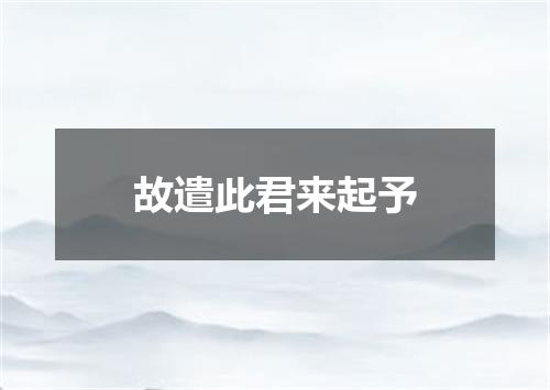 故遣此君来起予