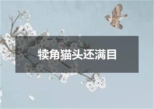 犊角猫头还满目