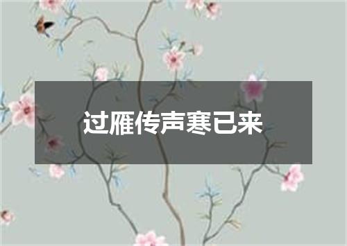 过雁传声寒已来