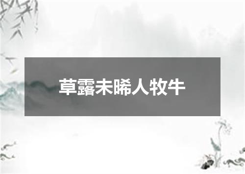 草露未晞人牧牛
