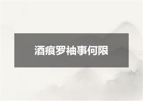 酒痕罗袖事何限