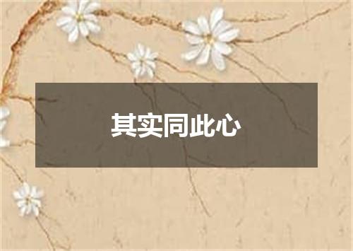 其实同此心