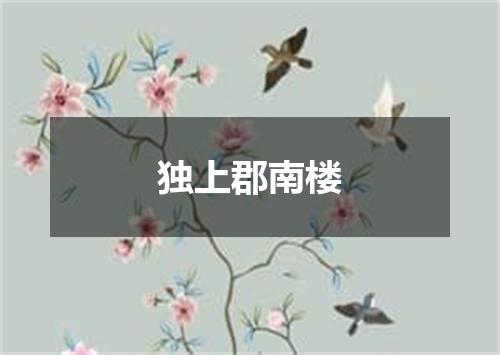 独上郡南楼