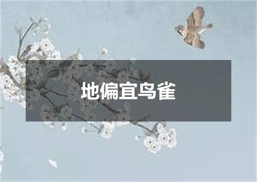 地偏宜鸟雀