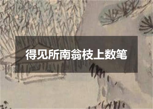 得见所南翁枝上数笔