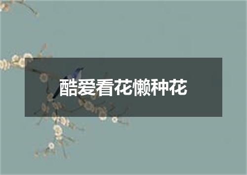 酷爱看花懒种花