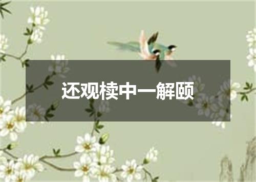 还观椟中一解颐