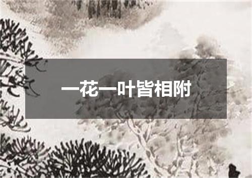 一花一叶皆相附