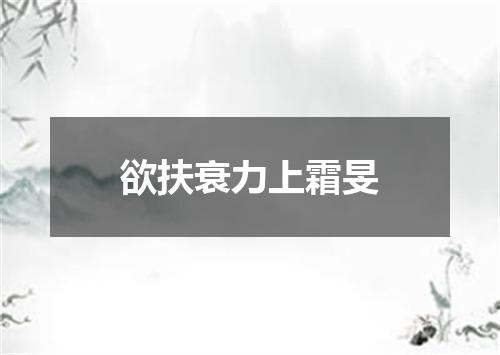 欲扶衰力上霜旻