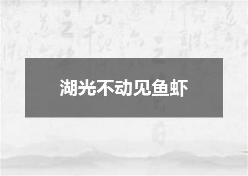 湖光不动见鱼虾