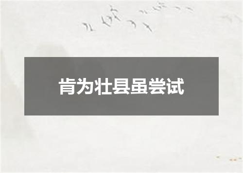 肯为壮县虽尝试