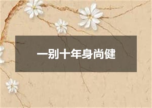 一别十年身尚健