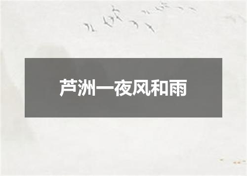 芦洲一夜风和雨