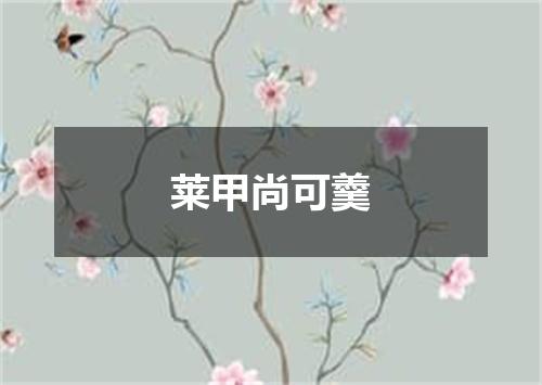 莱甲尚可羹