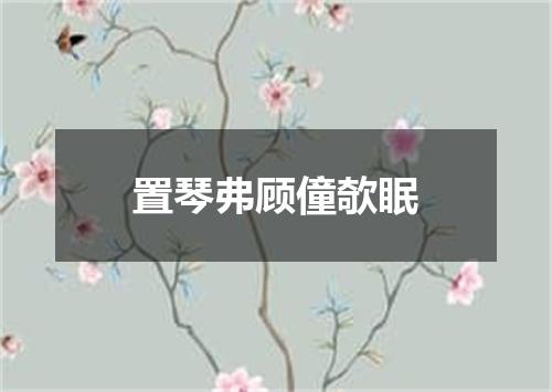 置琴弗顾僮欹眠
