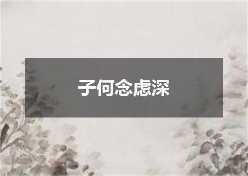 子何念虑深