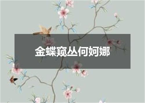 金蝶窥丛何妸娜