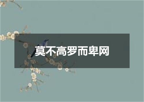 莫不高罗而卑网