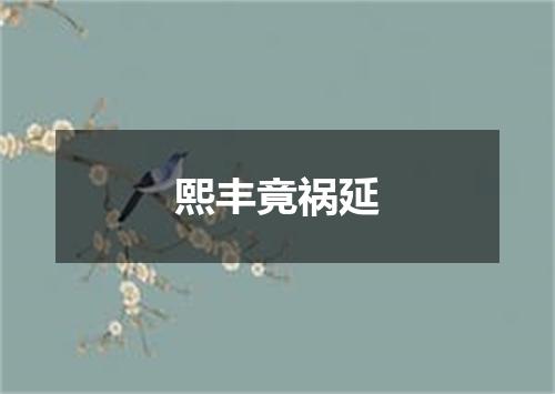 熙丰竟祸延