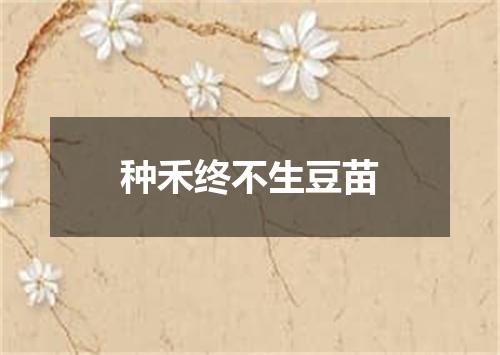 种禾终不生豆苗