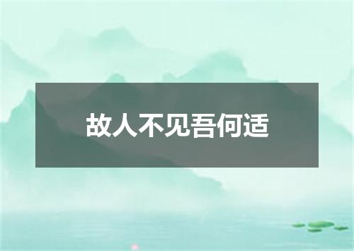 故人不见吾何适