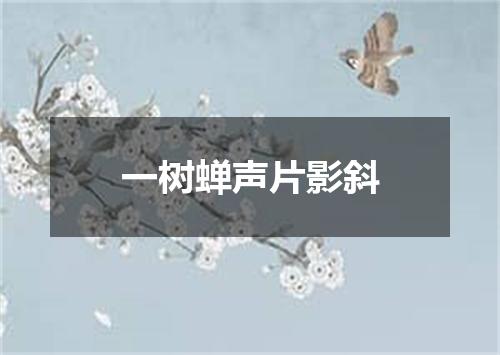 一树蝉声片影斜