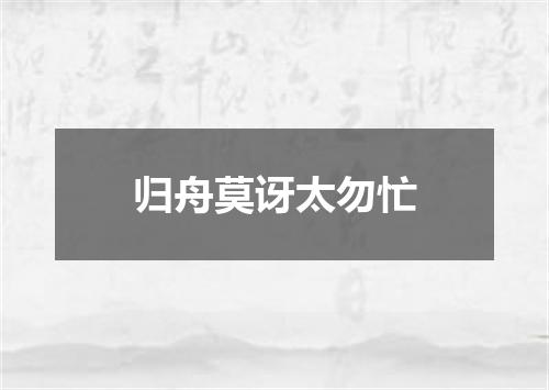 归舟莫讶太勿忙