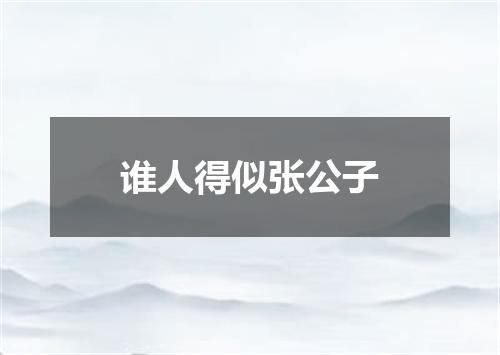 谁人得似张公子