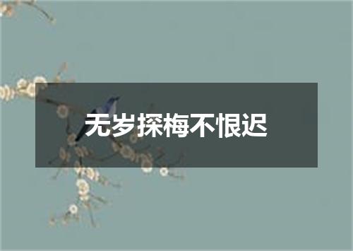 无岁探梅不恨迟