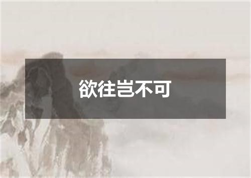 欲往岂不可