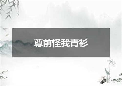 尊前怪我青衫