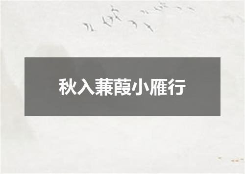 秋入蒹葭小雁行