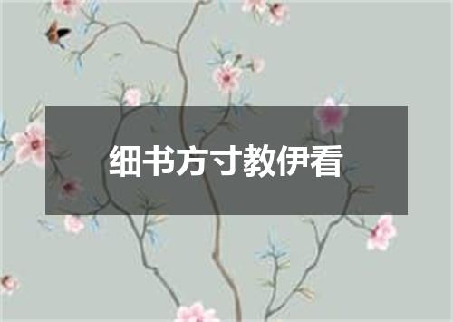 细书方寸教伊看