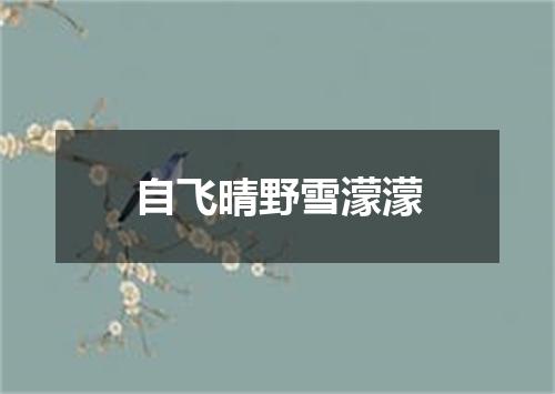自飞晴野雪濛濛