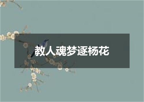 教人魂梦逐杨花