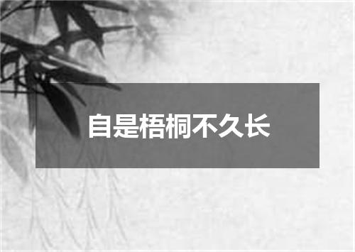 自是梧桐不久长
