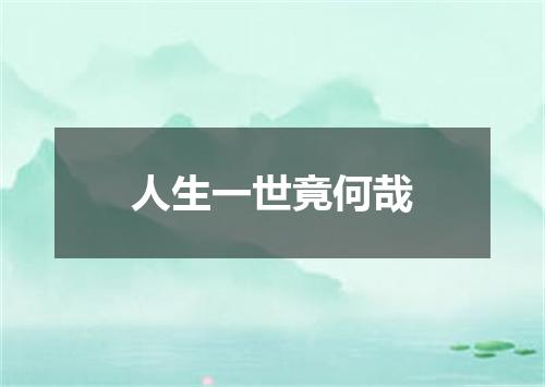 人生一世竟何哉