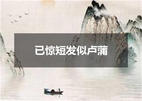 已惊短发似卢蒲