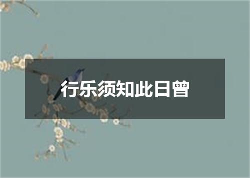 行乐须知此日曾
