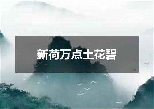 新荷万点土花碧