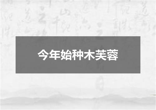 今年始种木芙蓉