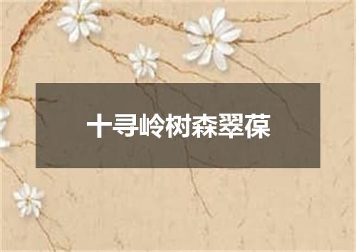 十寻岭树森翠葆