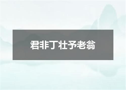 君非丁壮予老翁