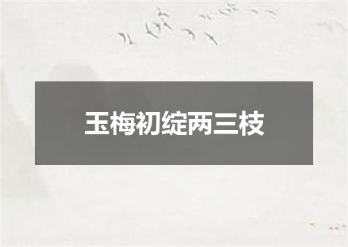 玉梅初绽两三枝